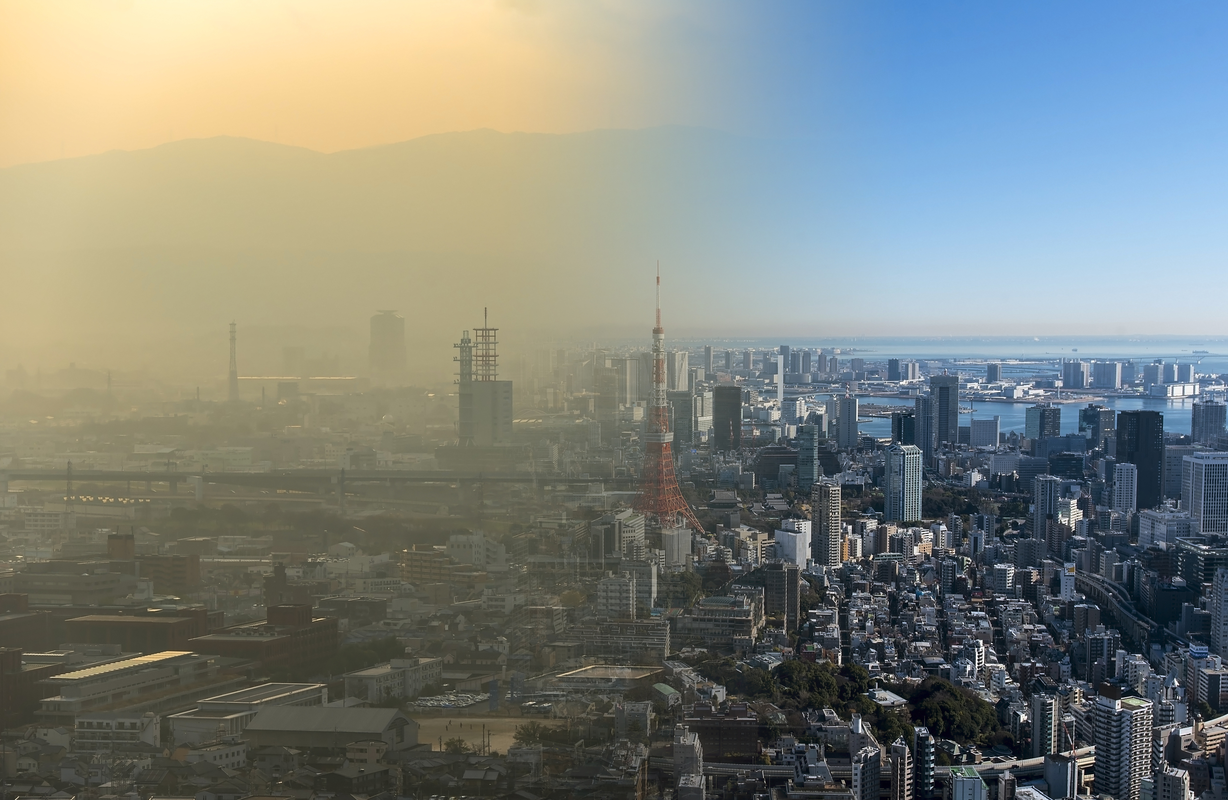 汚染された街の風景